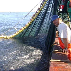 Wyle Jan Nugget Otto